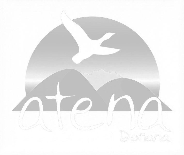 Atena